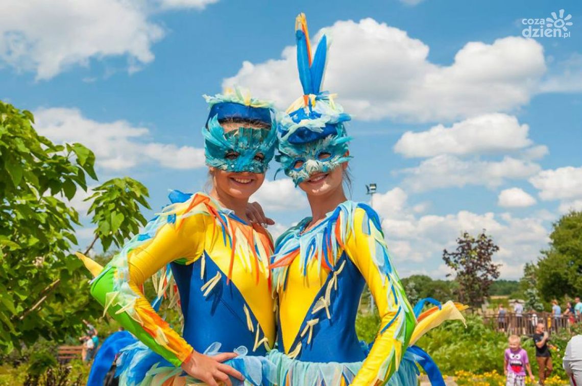 Sekrety Bulwiaków w Magicznych Ogrodach!