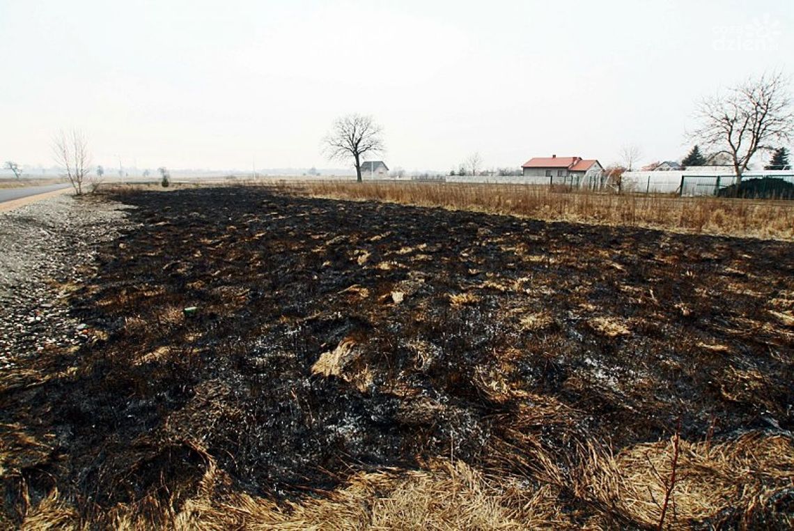 Sezon bezmyślnego wypalania traw rozpeczęty