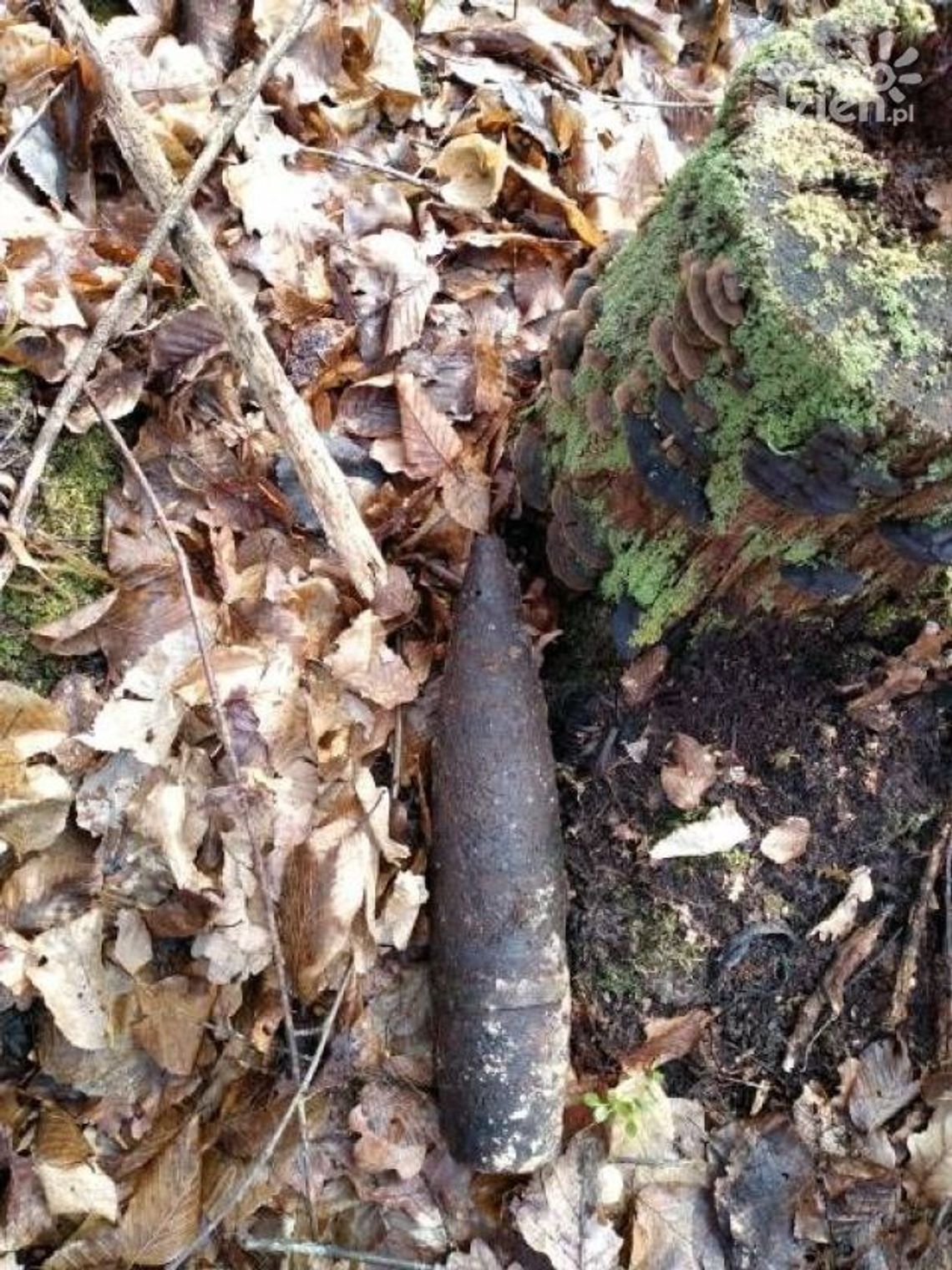 Sienno. Znaleziono pocisk z II wojny światowej