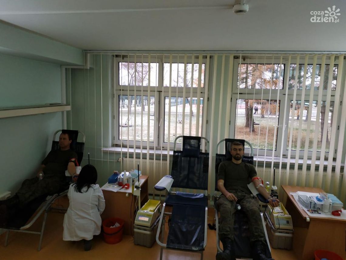 Siła krwi Terytorialsów