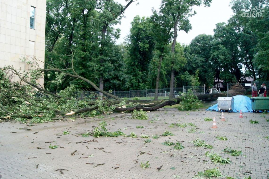 Silny wiatr. Pięć zdarzeń w regionie radomskim