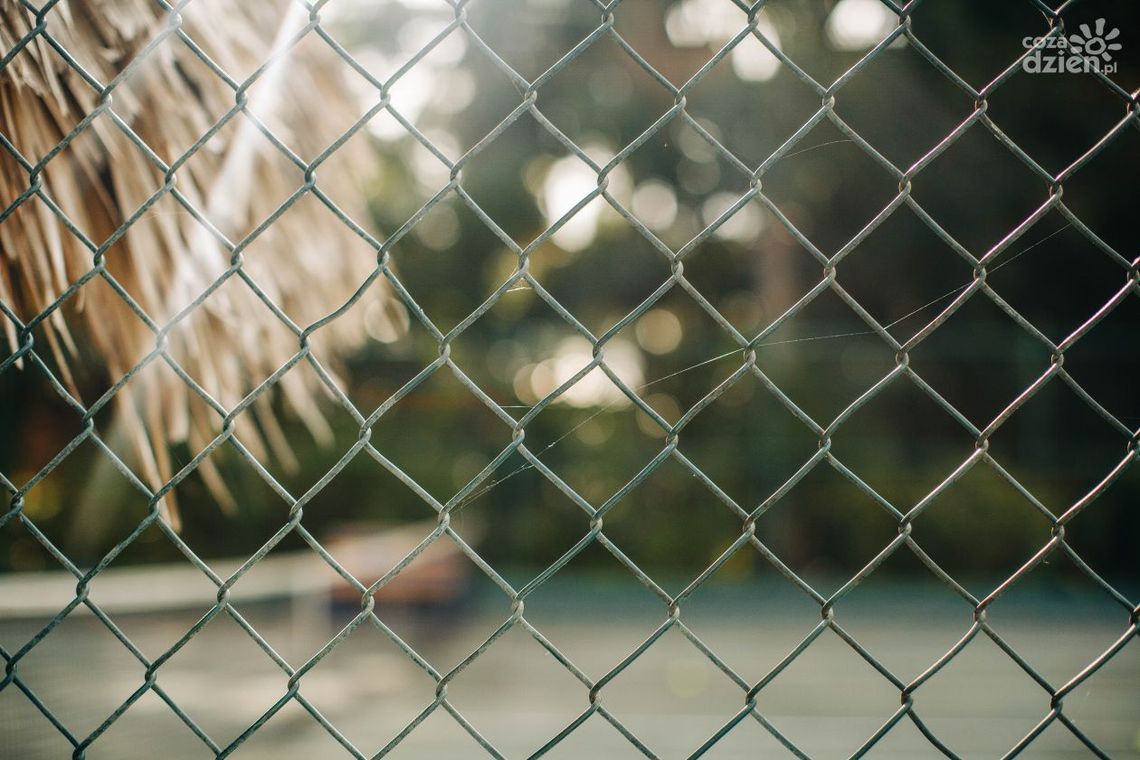 Sita plecione — gdzie kupić?