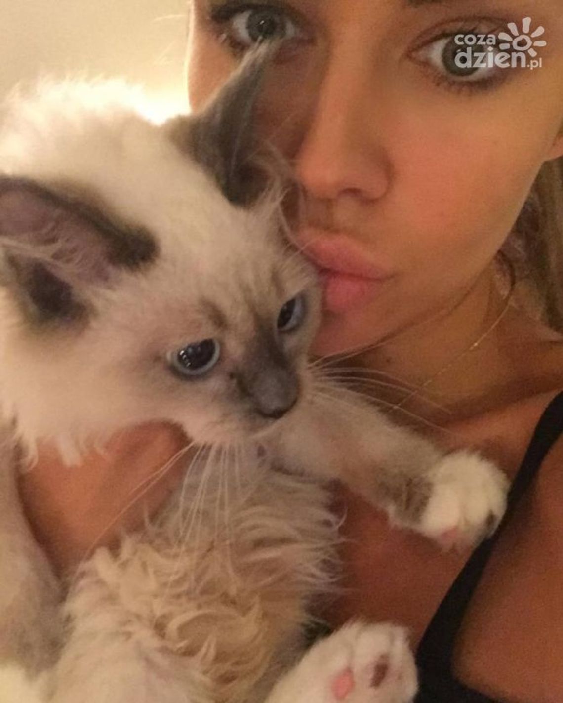 Siwiec pozbyła się kotka