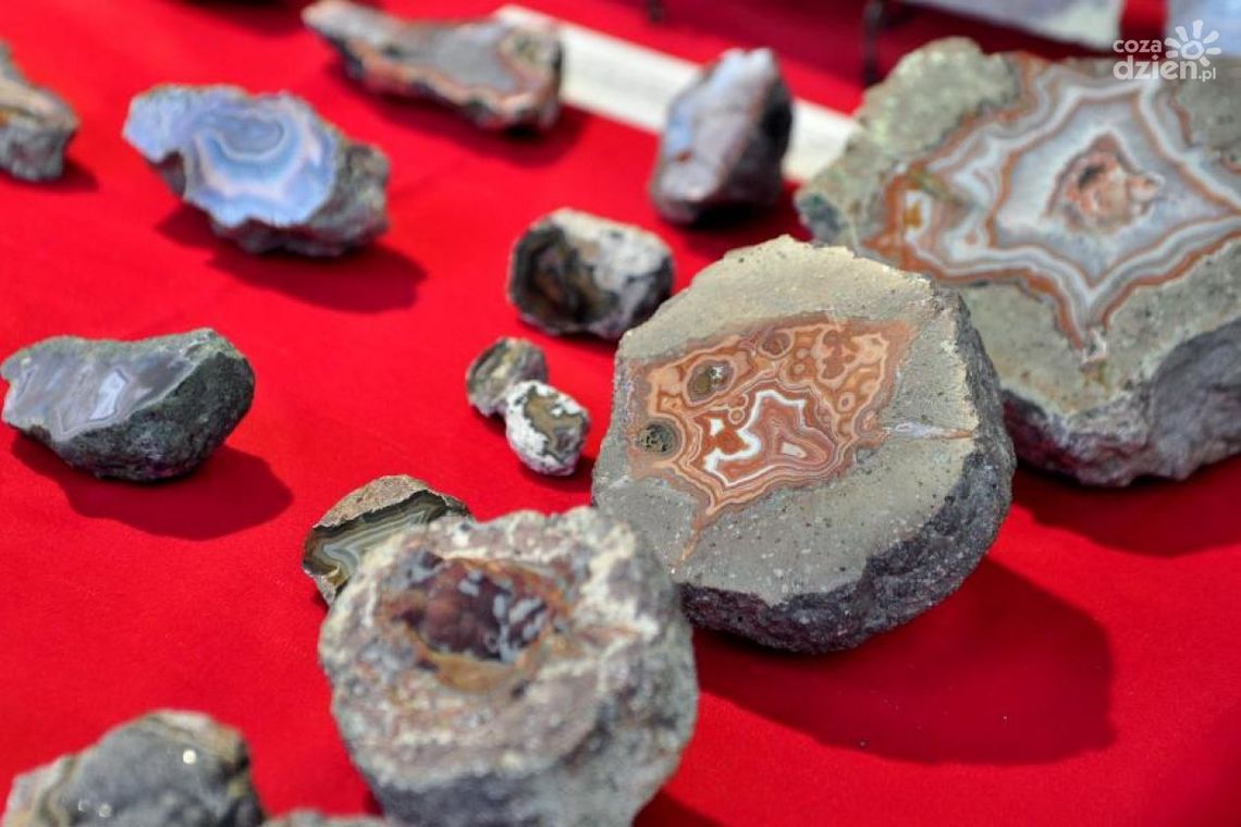 „Skarby Ziemi” w ten weekend „Skarby Ziemi” w ten weekend