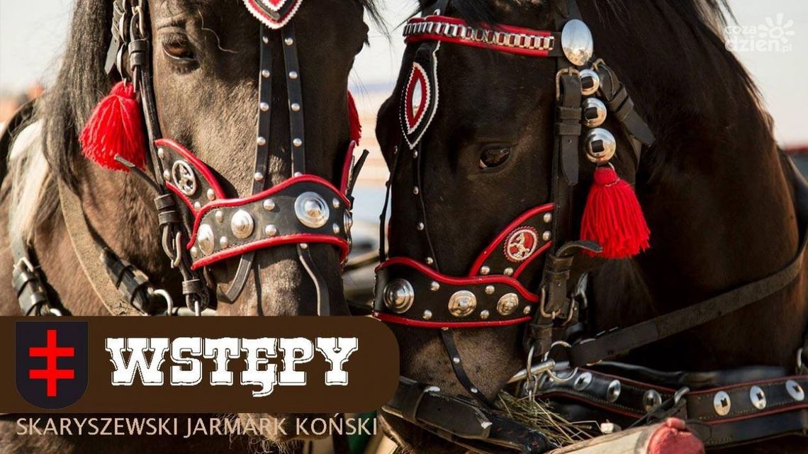 Skaryszew o reportażu w TVP 2: Nierzetelny