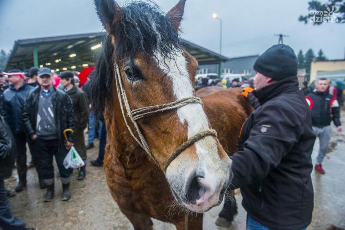 Skaryszew. WITD aktywne na wstępach