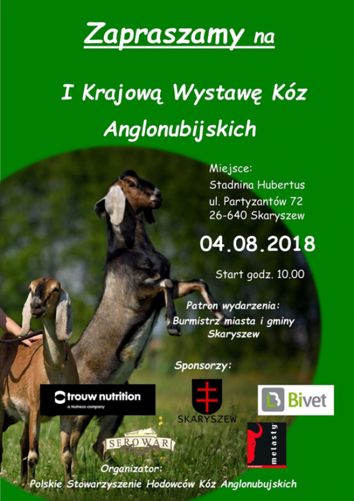 Skaryszew. Wystawa kóz anglonubijskich już w sobotę