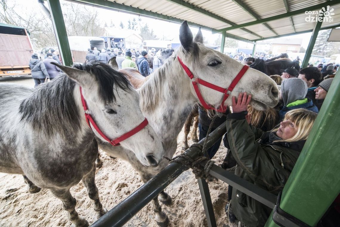 Skaryszewskie „Wstępy”. Nowy regulamin i interwencja Tary