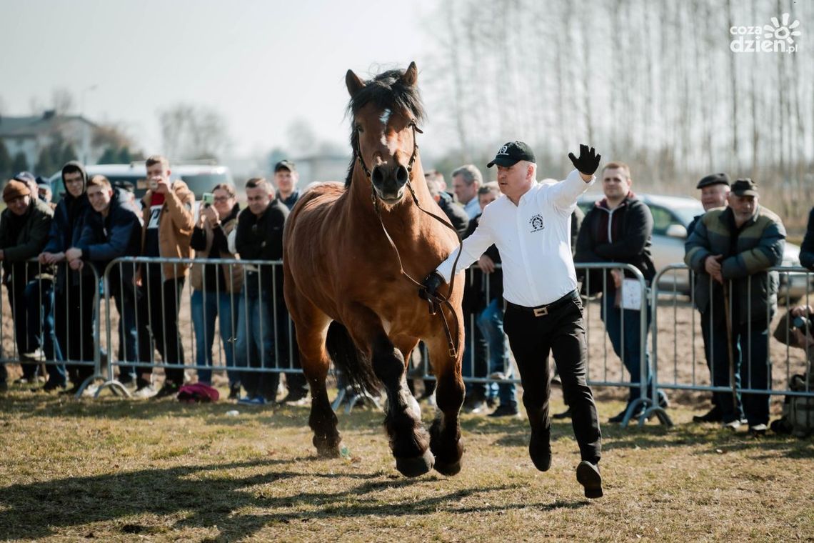 Skaryszewskie Wstępy po raz 392.