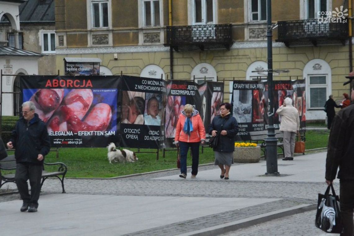 SLD: jest kompromis. Fundacja PRO: nie ma
