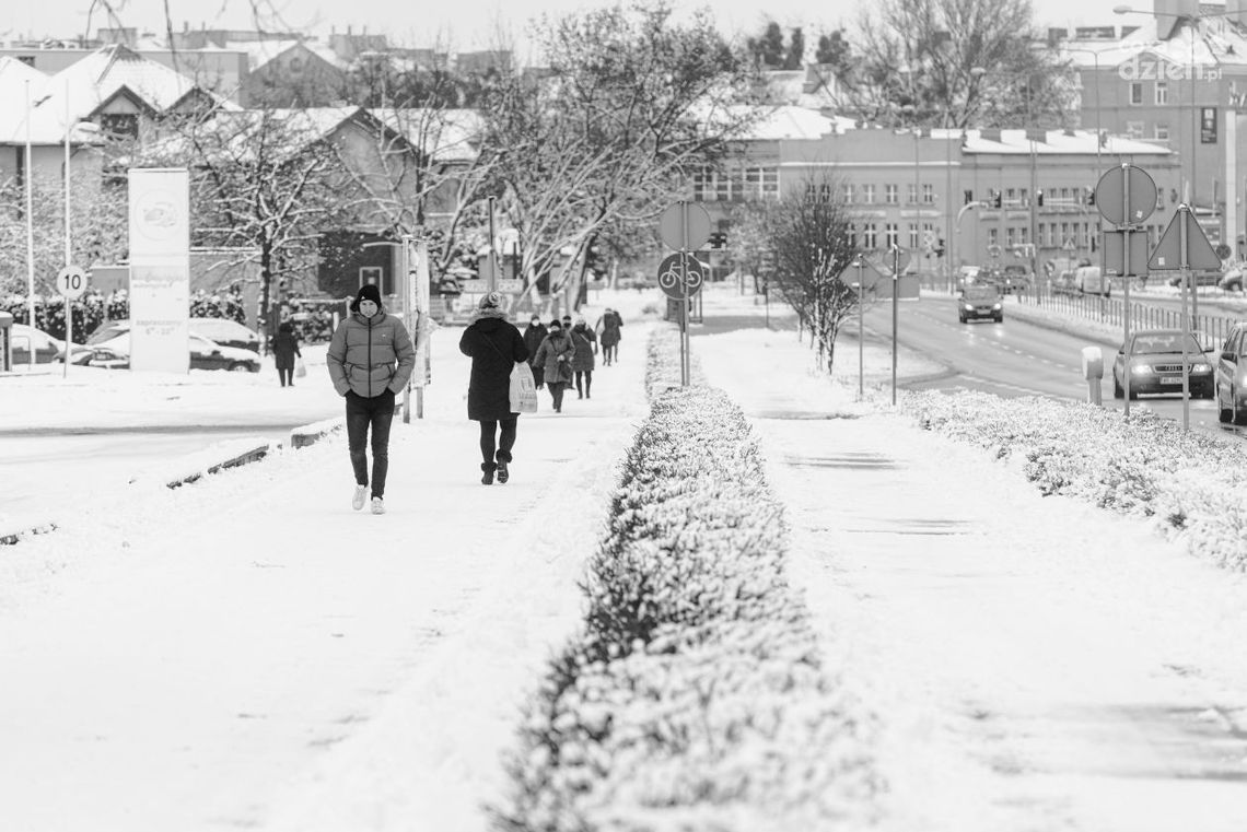 SLD w Radomiu za otwarciem branż