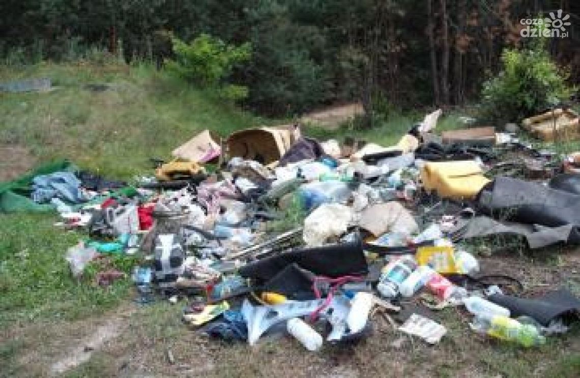 Śmieci nadal wyrzucane do lasów!