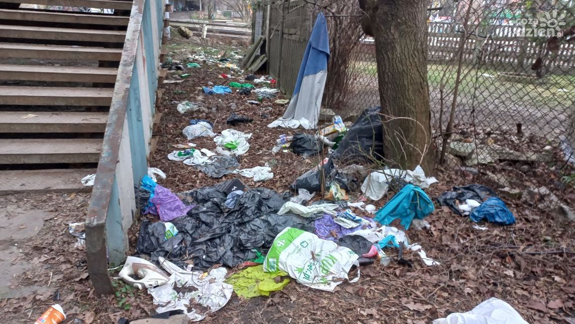 Śmieci pod wiaduktem Śmieci pod wiaduktem