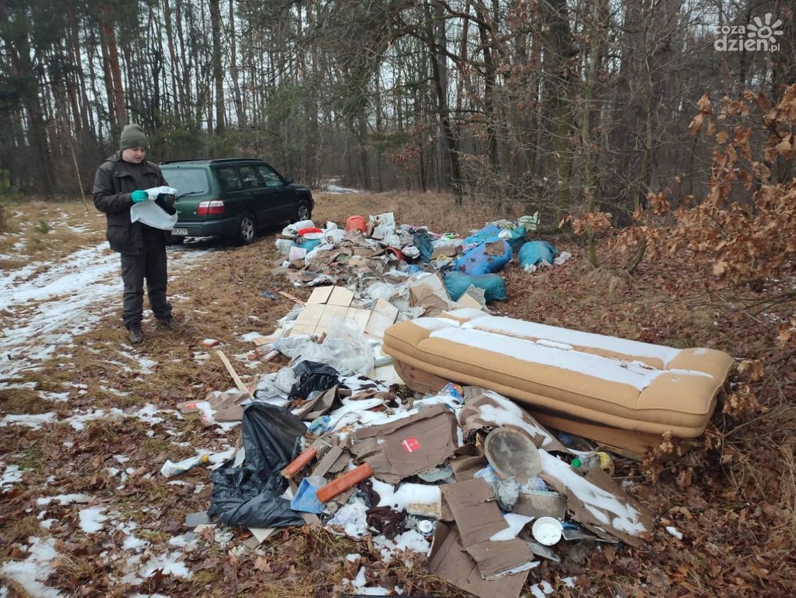 Śmieci w lasach to wciąż plaga