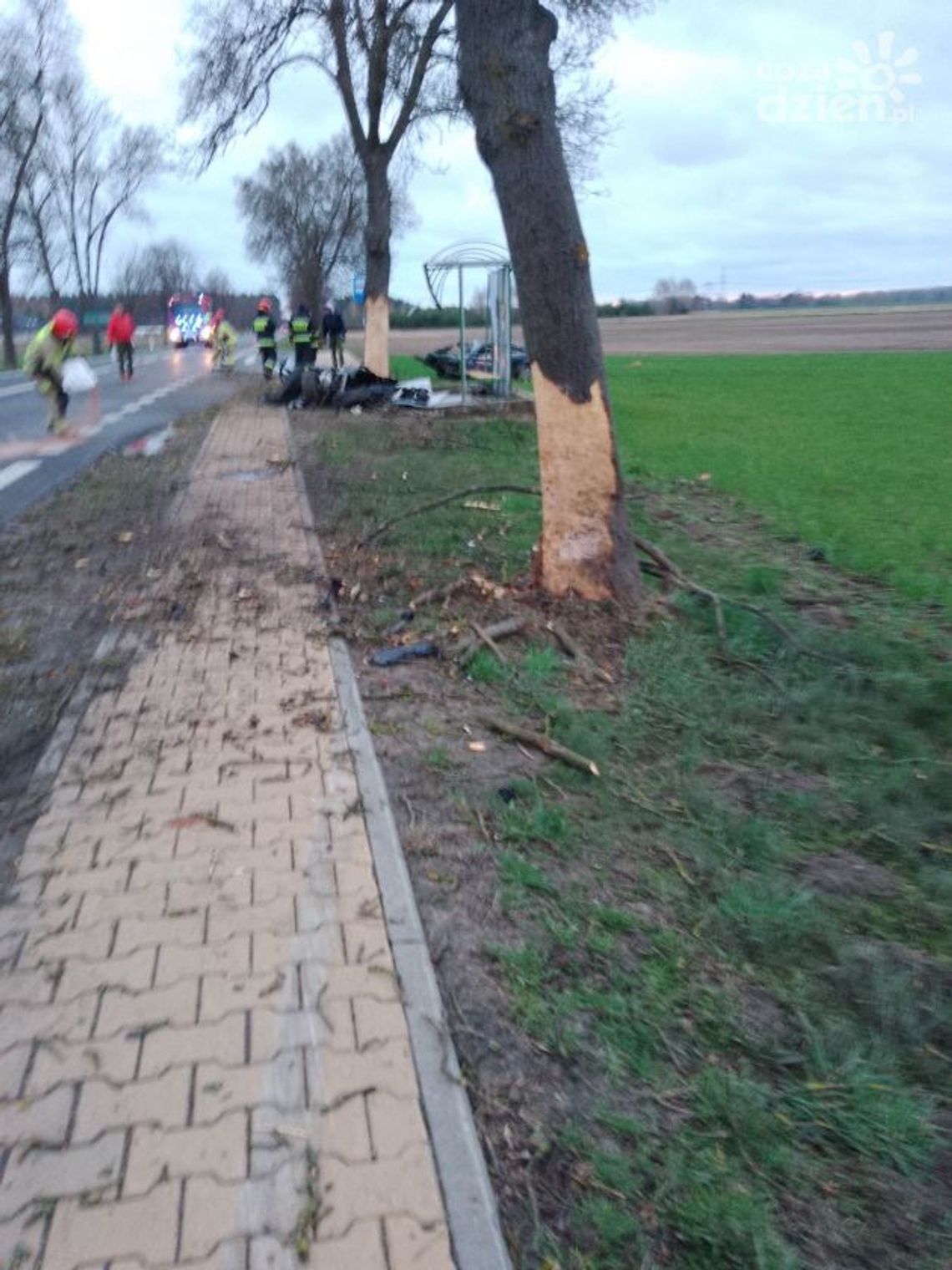 Śmiertelny wypadek w Przydworzycach