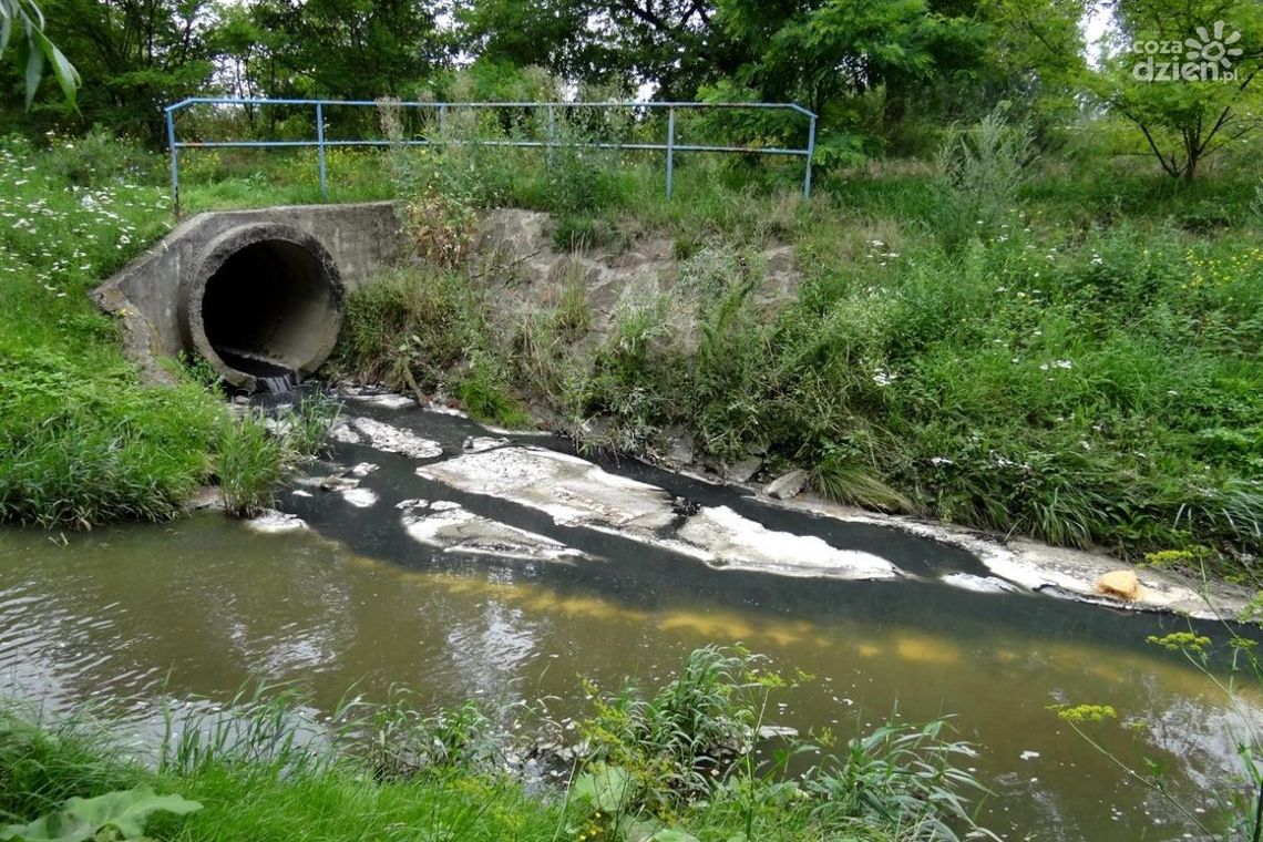 Smród w Starym Ogrodzie. Skażona woda