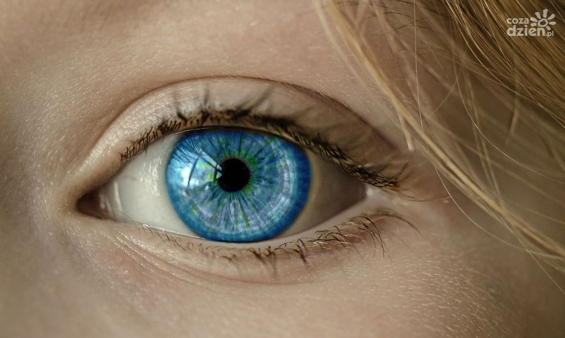 Soczewki Acuvue Oasys: właściwości i zalety Soczewki Acuvue Oasys: właściwości i zalety