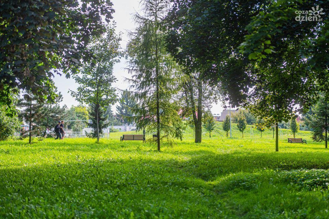 Spacerkiem po mieście. Park im. Józefa Ruzika