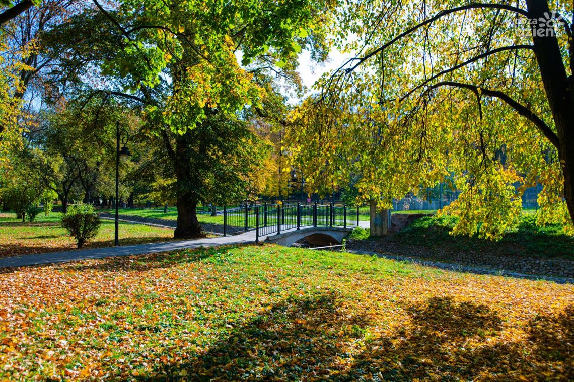 Spacerkiem po mieście: Park Leśniczówka