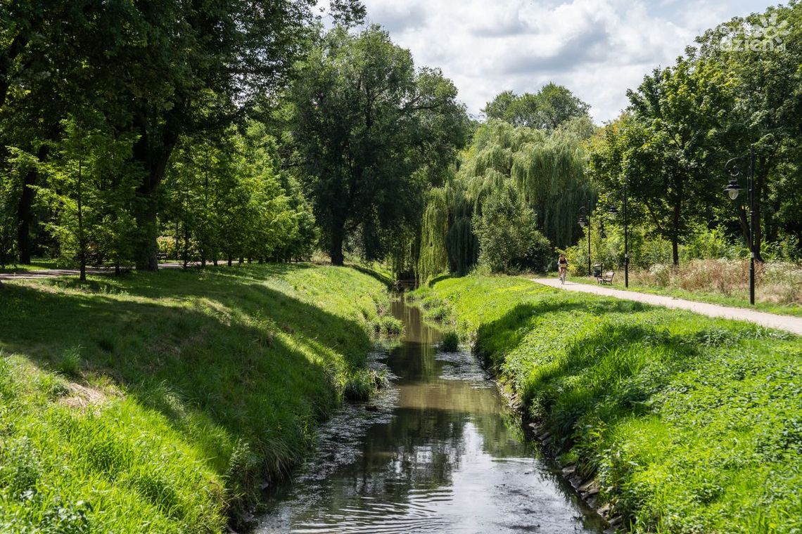 Spacerkiem po mieście: Stary Ogród