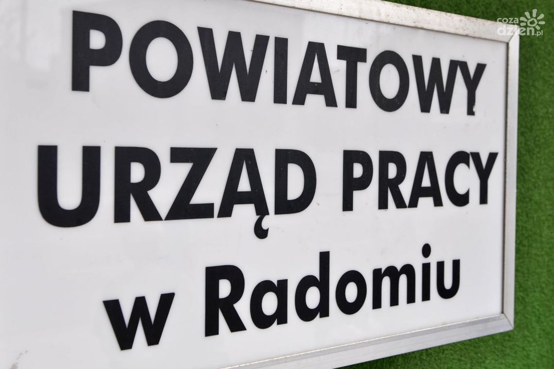Spadek bezrobocia w maju. Prognozy optymistyczne
