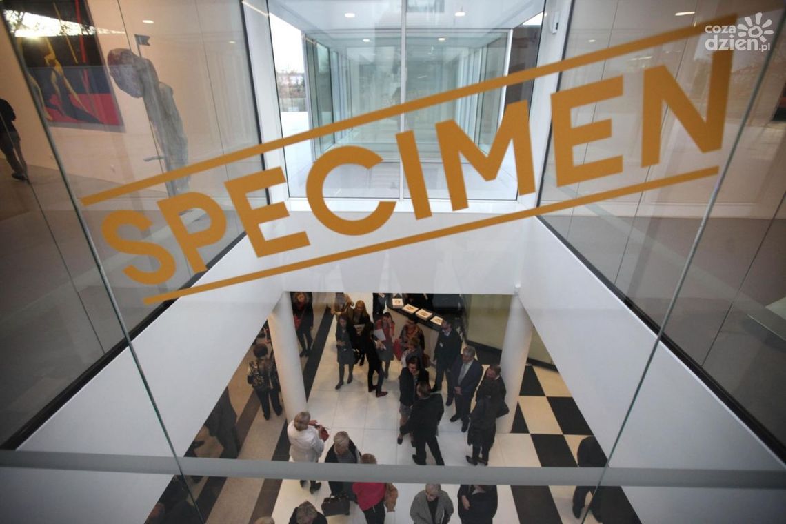 „Specimen. Próba kolekcji” - kuratorskie oprowadzanie