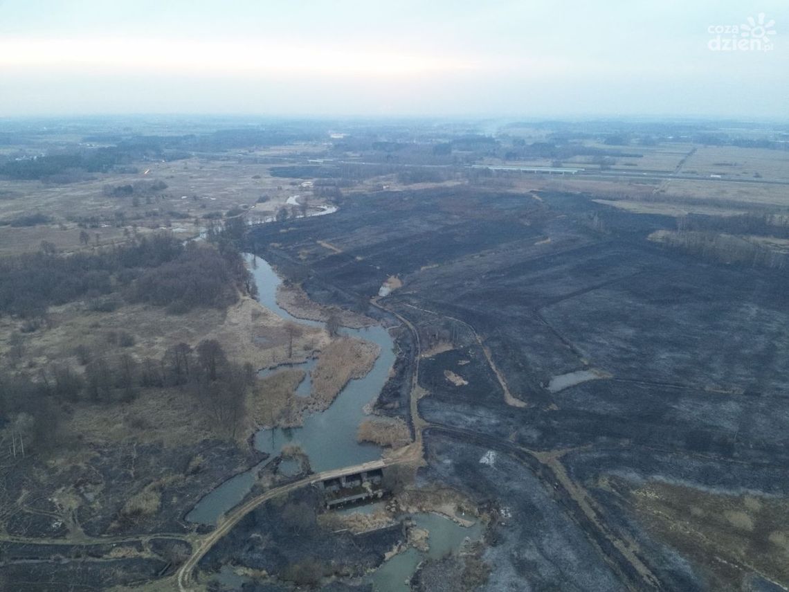 Spłonęło 170 ha nieużytków. Strażacy apelują 