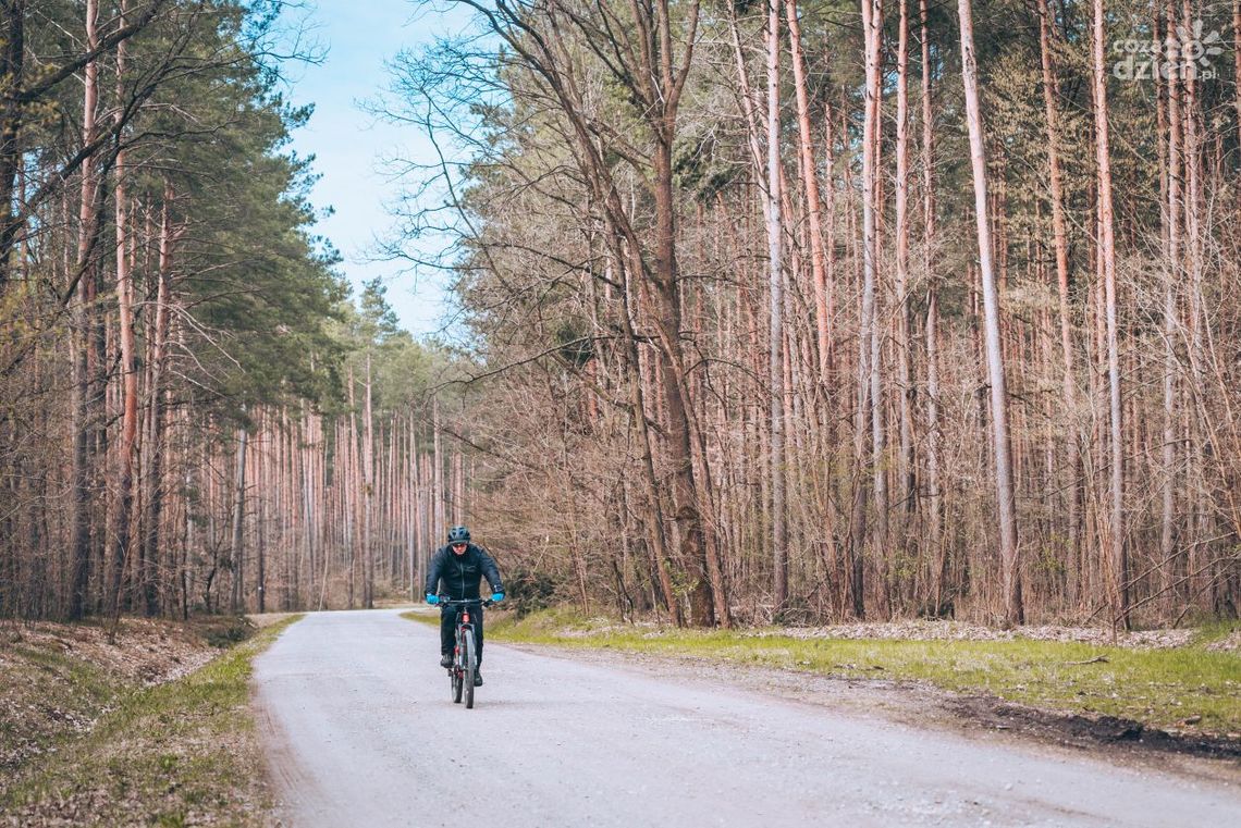 Sprawdź mapę Co Za Jazda! do Jastrzębi Sprawdź mapę Co Za Jazda! do Jastrzębi