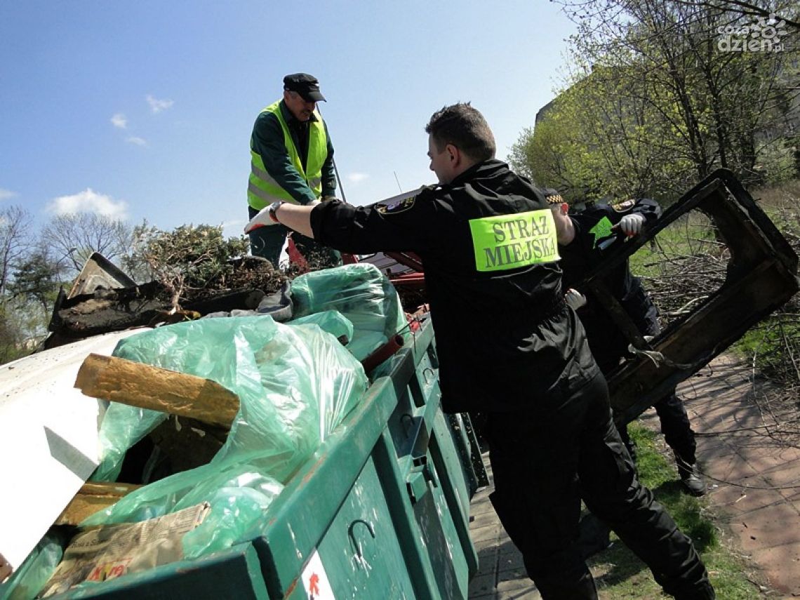 Sprzątnijmy śmieci na jesień!