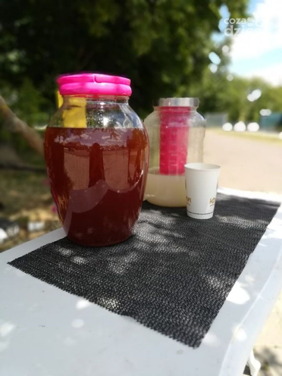 Sprzedają lemoniadę. Zbierają na schronisko