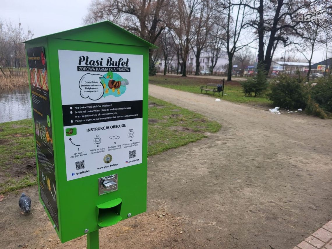 Stanęły karmniki dla ptaków 