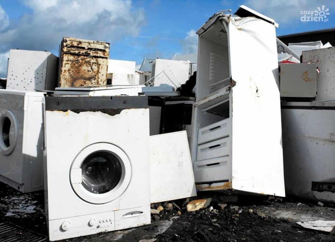 Starą lodówkę czy pralkę odbiorą za darmo