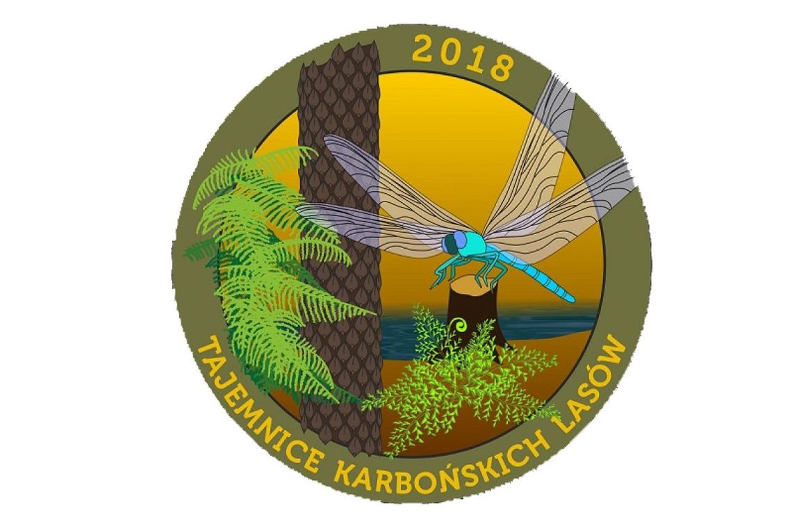 Starachowice. Konkurs geologiczno-środowiskowy „Tajemnice karbońskich lasów”