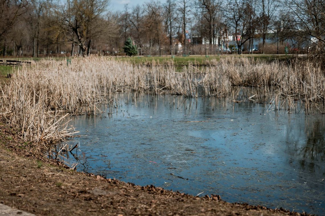 Staw w Starym Ogrodzie przypomina bajoro – twierdzą mieszkańcy