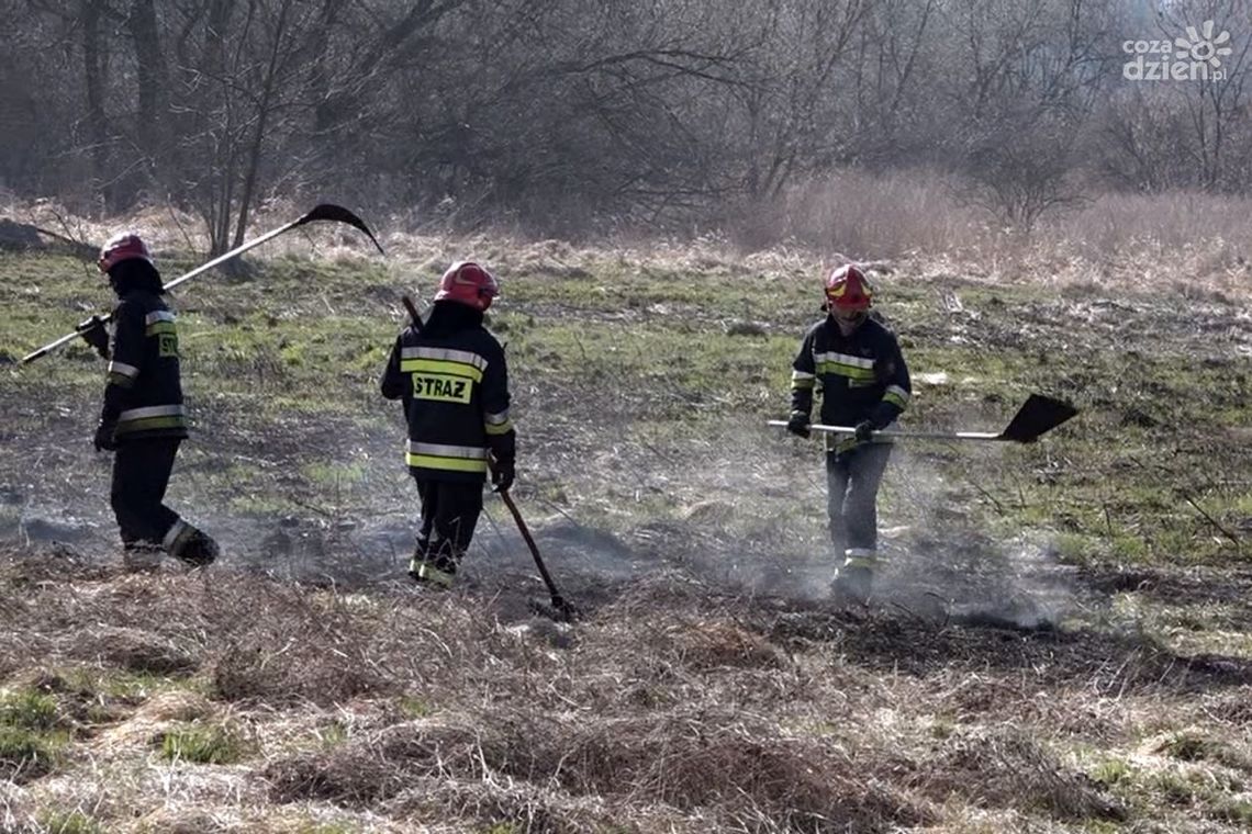 Stop Pożarom Traw! Niechlubny wynik Radomia
