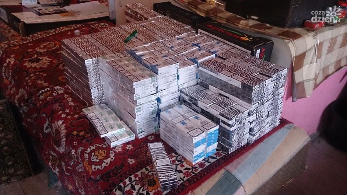 Straż Graniczna zabezpieczyła papierosy bez akcyzy