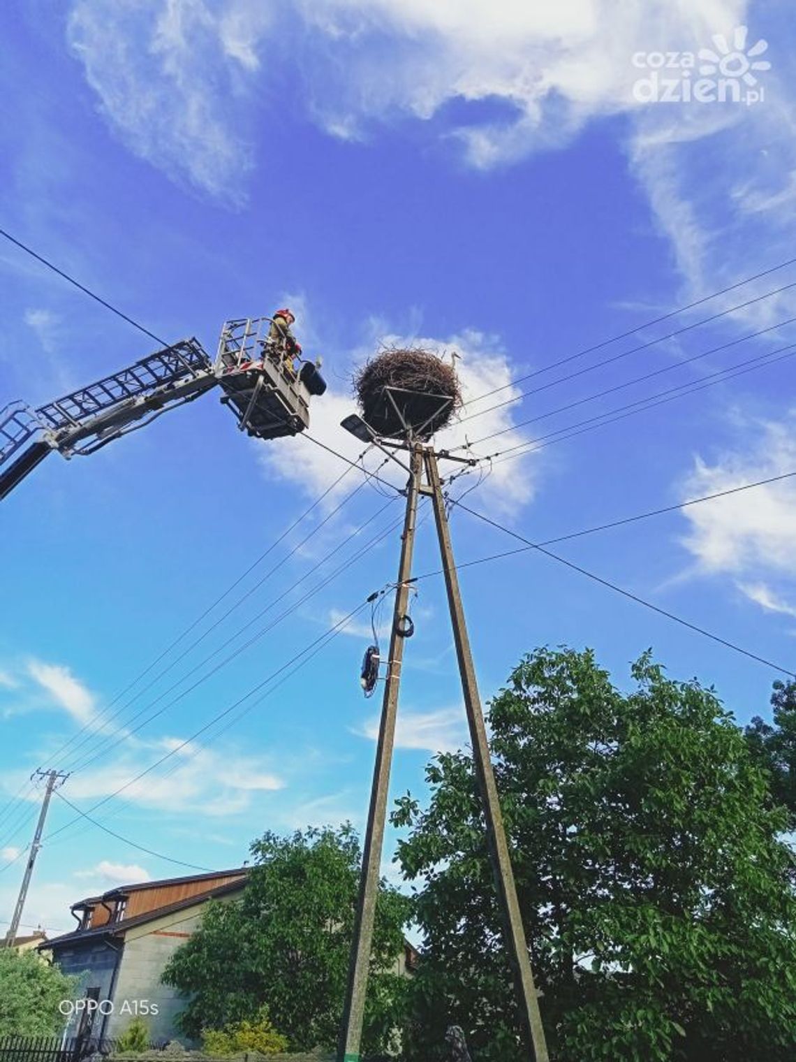 Strażacy uratowali bocianiątko
