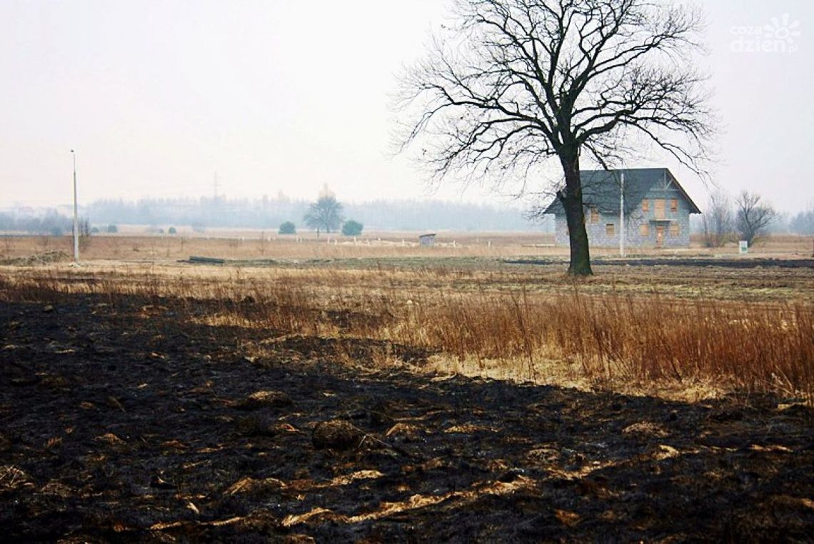 Strażacy walczą z pożarami traw Strażacy walczą z pożarami traw