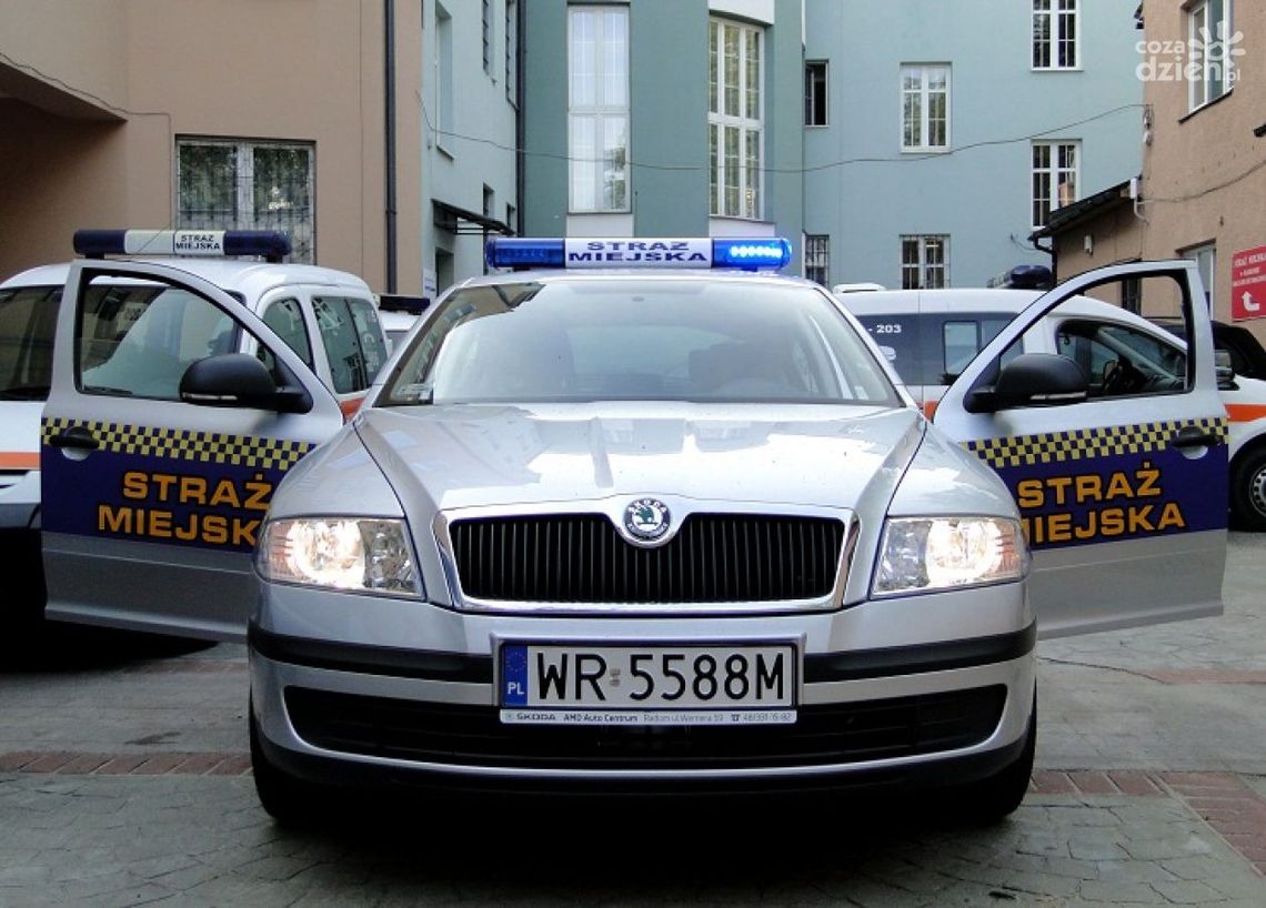 Strażnicy miejscy zatrzymali zuchwałego złomiarza