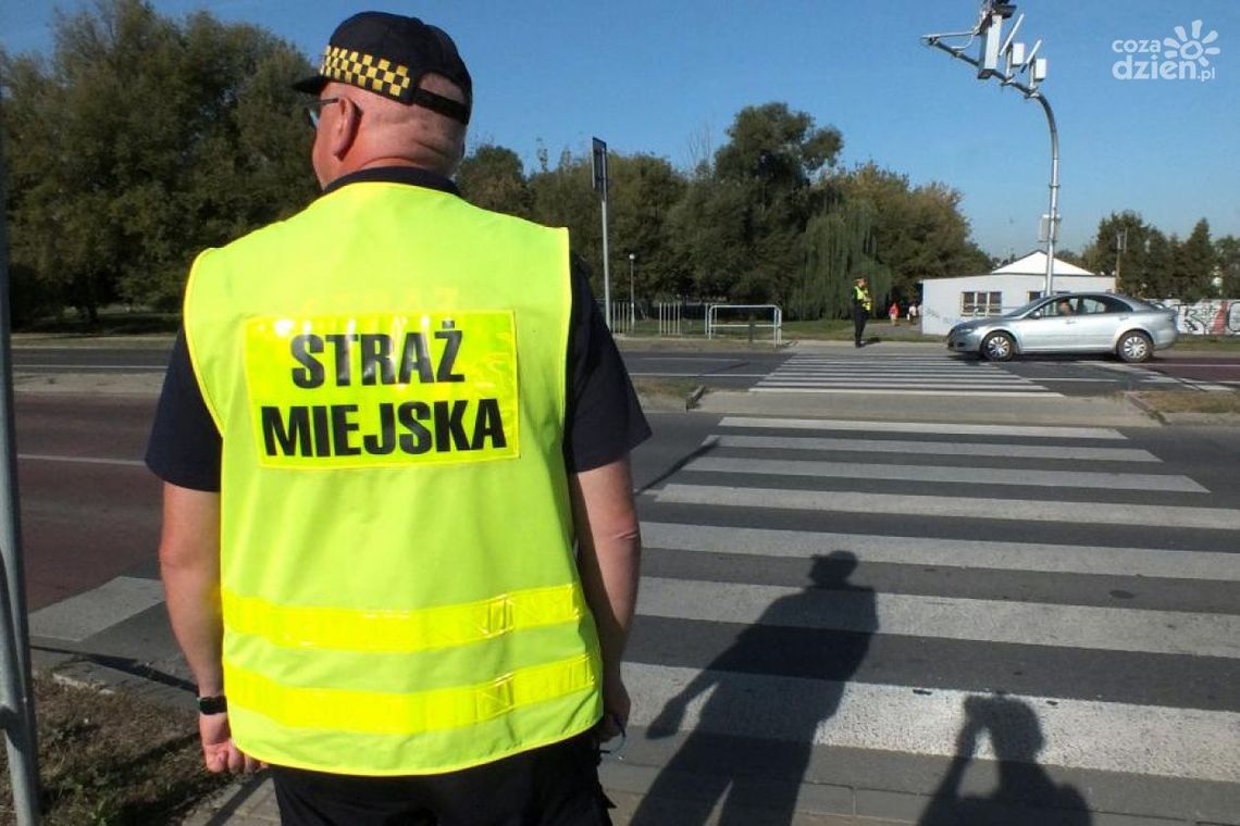 Strażnicy na pasach