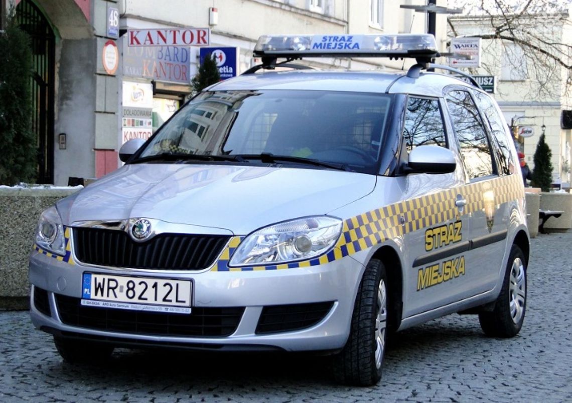 Strażnicy ruszają na pomoc zwierzętom ZOBACZ ZDJĘCIA