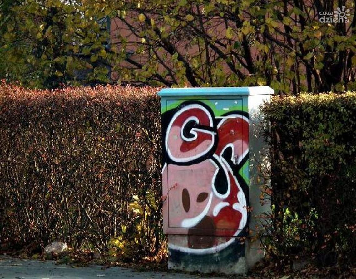 Street art - artyzm czy wandalizm?