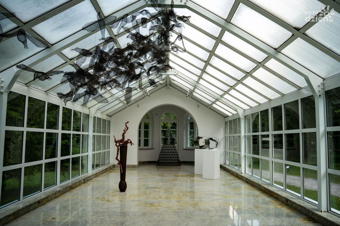 Struktury rozgałęzione