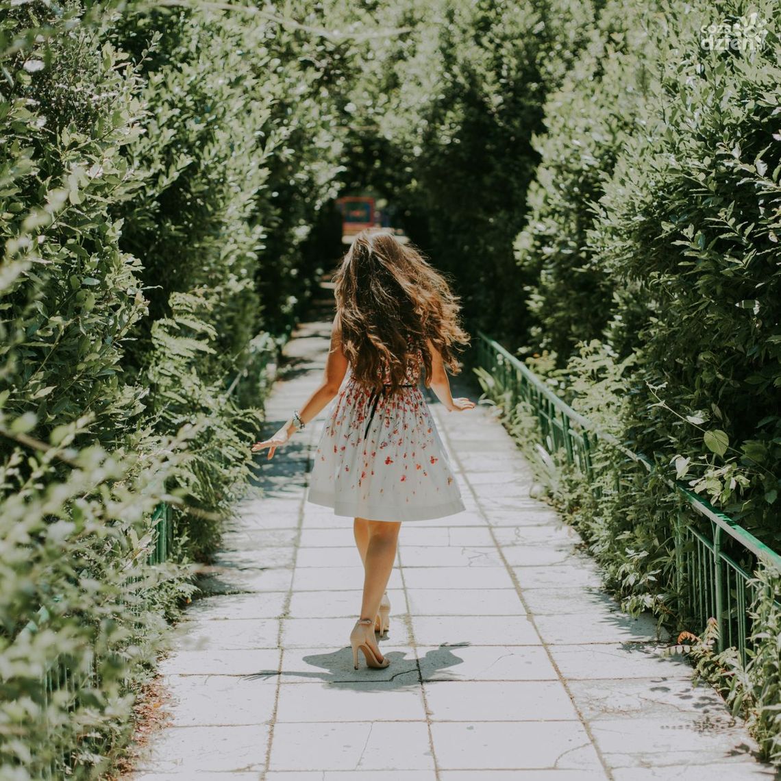 Studniówka – najciekawsze przesądy, zwyczaje i trendy 2020 roku! Studniówka – najciekawsze przesądy, zwyczaje i trendy 2020 roku!