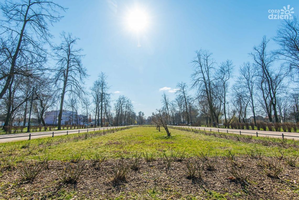 Susza. Gminy ograniczają zużycie wody