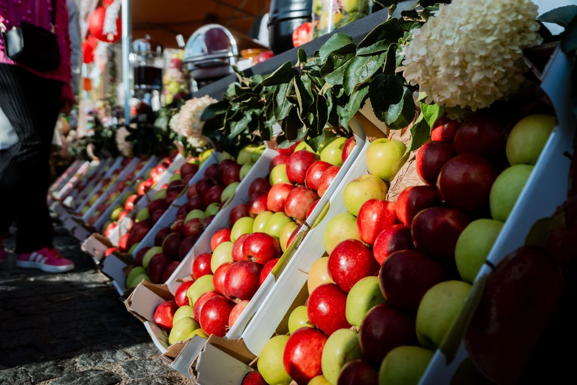 Światowy Dzień Jabłka w Warce. Rynek pełen smaków i muzyki