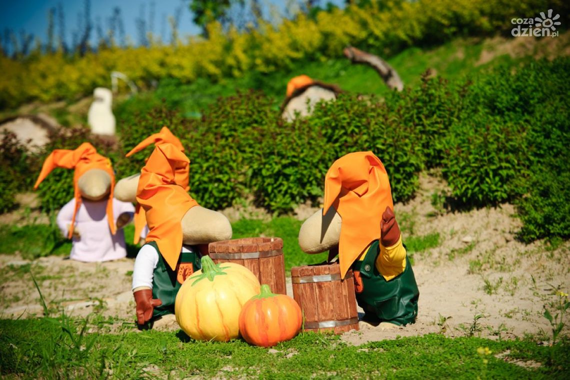 Święto Bulwy w Magicznych Ogrodach