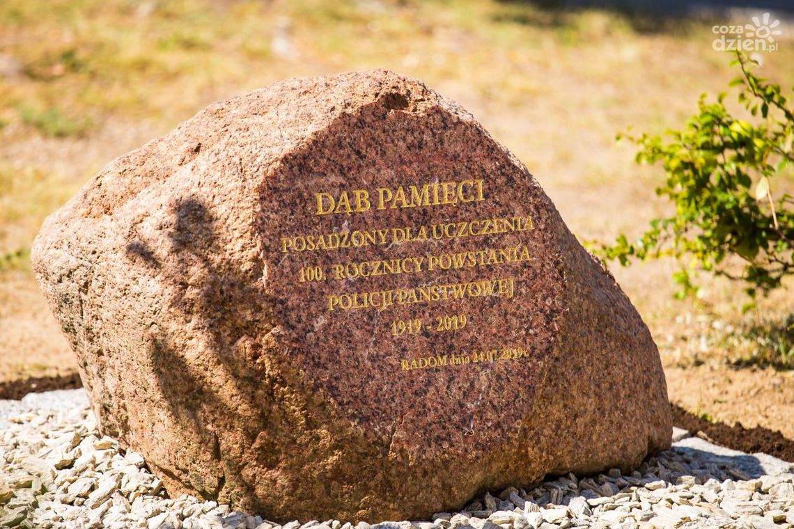 Święto Policji w KMP. Posadzono dąb pamięci