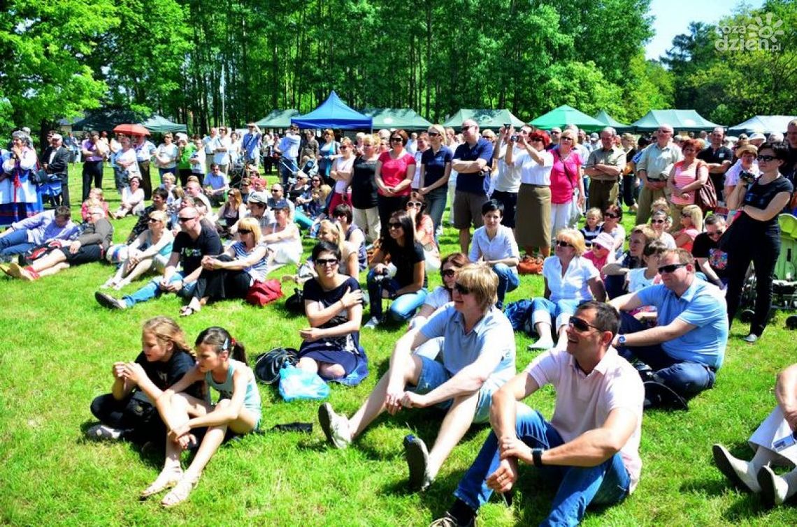 Święto Polskiej Niezapominajki