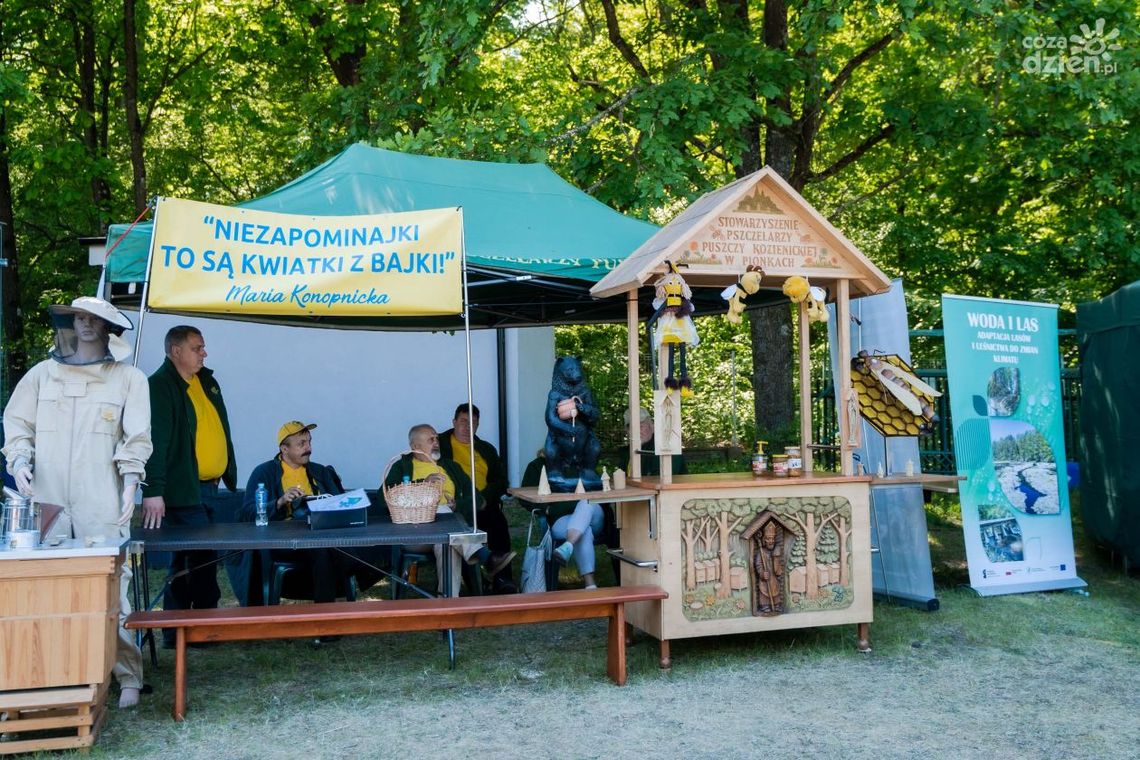 Święto polskiej niezapominajki. Gwiazdą imprezy - Budka Suflera